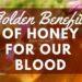 Health Benefits of Honey for Our Blood Benefits of Honey on Skin Aliens Tips