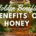 7 Golden Health Benefits of Honey Aliens tips blog Benefits of Honey Aliens Tips