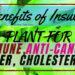 9 Benefits of Insulin plant for immune, anti-cancer, liver, and cholesterol Benefits of Guyabano Aliens Tips