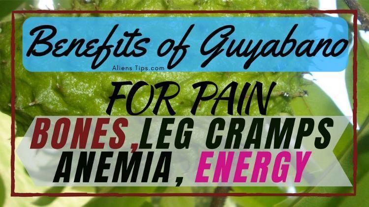 7 Health Benefits of Guyabano for bones, leg cramps, Anemia and energy Benefits of Guyabano Aliens Tips