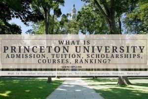 What is Princeton University: Admission, Tuition, Scholarships, Courses, Ranking?? alienstips.com