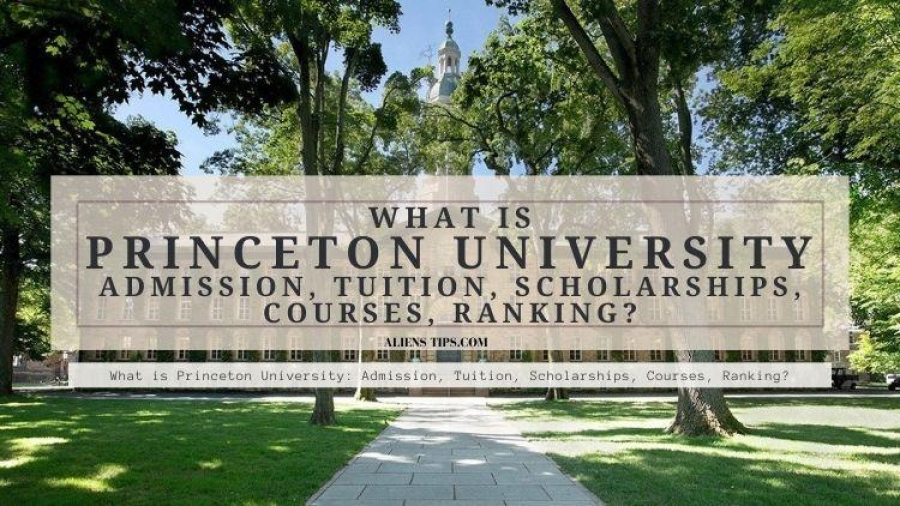 What is Princeton University: Admission, Tuition, Scholarships, Courses, Ranking?? alienstips.com