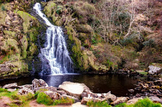 TOP 10 Prettiest Waterfalls Hikes In Ireland You Shouldn't Miss. Waterfalls, Ireland tourist attractions, places to visit in Ireland TOP 10 Prettiest Waterfalls In Ireland Torc Waterfall Powerscourt Waterfall Mahon Falls Glencar Waterfall Glenevin Waterfall Assaranca Waterfall Tourmakeady Waterfall Aasleagh Falls Clare Glens Kilfane Waterfall