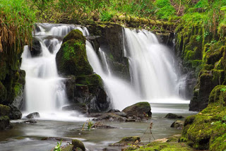 TOP 10 Prettiest Waterfalls Hikes In Ireland You Shouldn't Miss. Waterfalls, Ireland tourist attractions, places to visit in Ireland TOP 10 Prettiest Waterfalls In Ireland Torc Waterfall Powerscourt Waterfall Mahon Falls Glencar Waterfall Glenevin Waterfall Assaranca Waterfall Tourmakeady Waterfall Aasleagh Falls Clare Glens Kilfane Waterfall